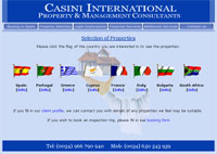 Casini International
